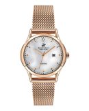 BEVERLY HILLS POLO CLUB BP3226C.420