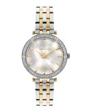 ESSENCE ES6800FE.220_Y