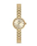 MOMENTUS CW313G-08SG