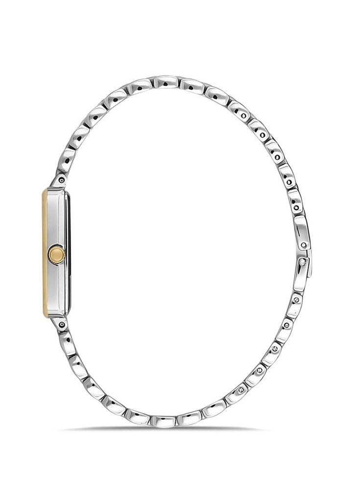 cepsaat MOMENTUS SW273G-15TG