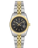 MOMENTUS CS385T-05SG