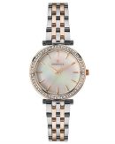 ESSENCE ES6640FE.520