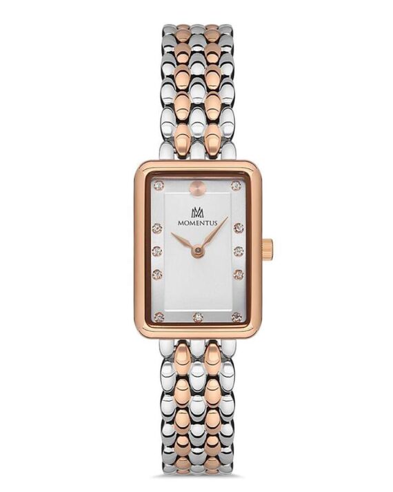 MOMENTUS SW273T-02SR