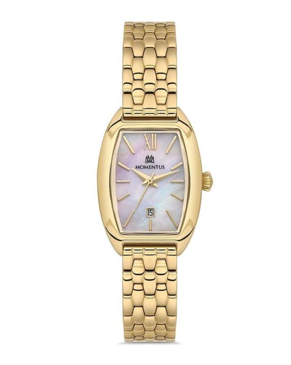 MOMENTUS CW310G-09SG