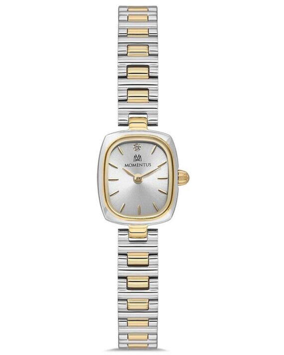 MOMENTUS CW317T-02SG