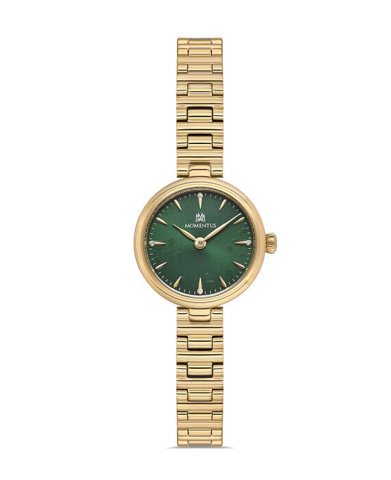 MOMENTUS CW313G-15SG