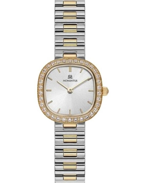 MOMENTUS SW296T-02SG