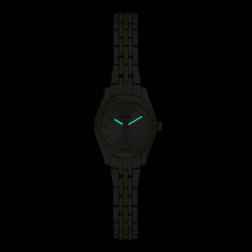 cepsaat FOSSIL FES5473