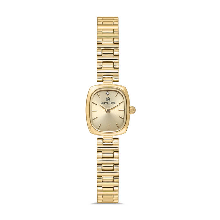 cepsaat MOMENTUS CW317G-08SG