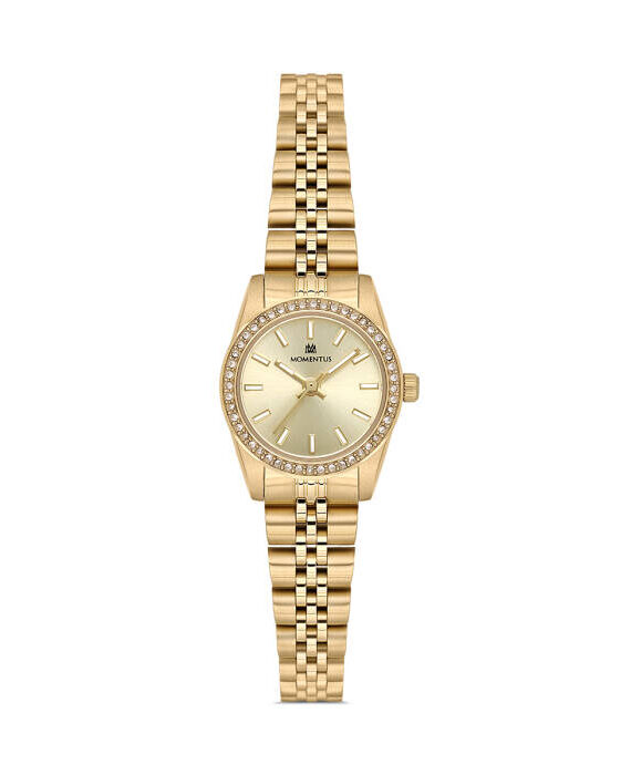 MOMENTUS SW262G-08SG