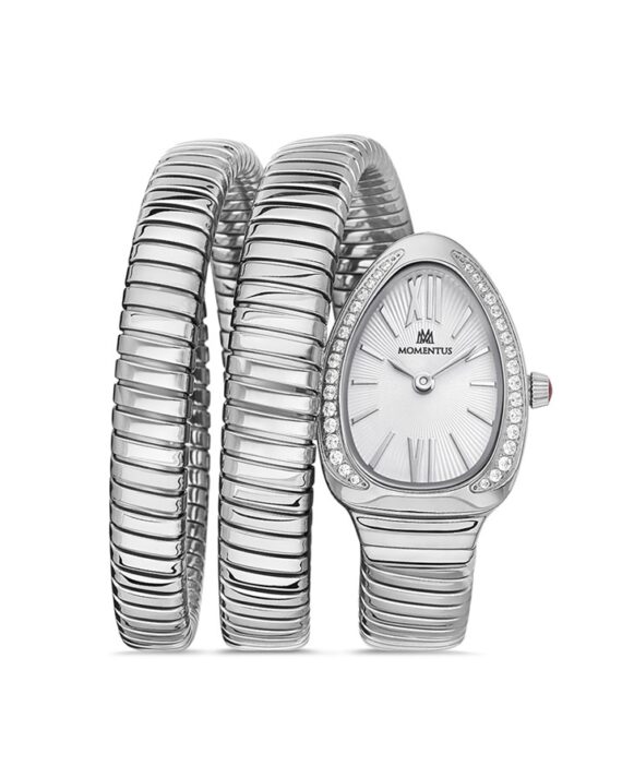 MOMENTUS SS256S-02SS