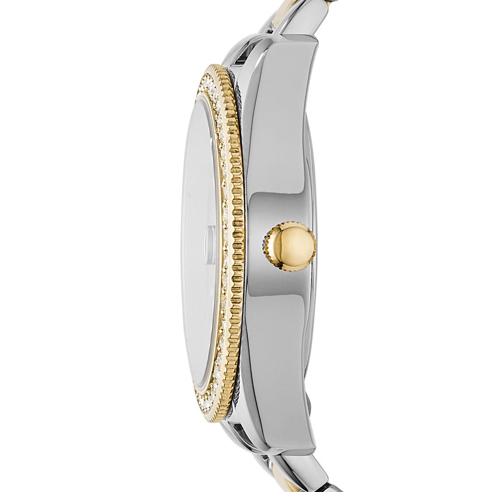 cepsaat FOSSIL FES4319